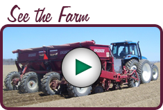 see-the-farm see-the-farm